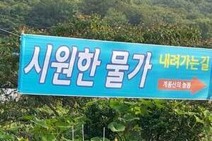 계룡산힐링펜션