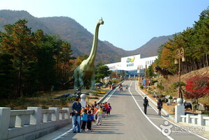 계룡산자연사박물관
