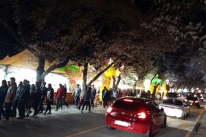 2017년 벚꽃축제 