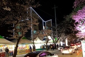 2018년 계룡산벚꽃축제