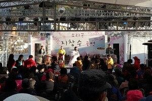 2018년 계룡산벚꽃축제