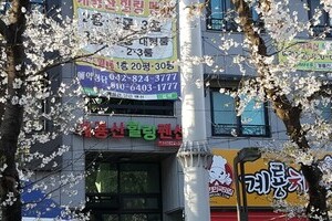 2018년 계룡산벚꽃축제