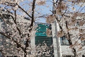 계룡산힐링펜션 