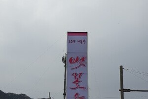 2019년 계룡산벚꽃축제